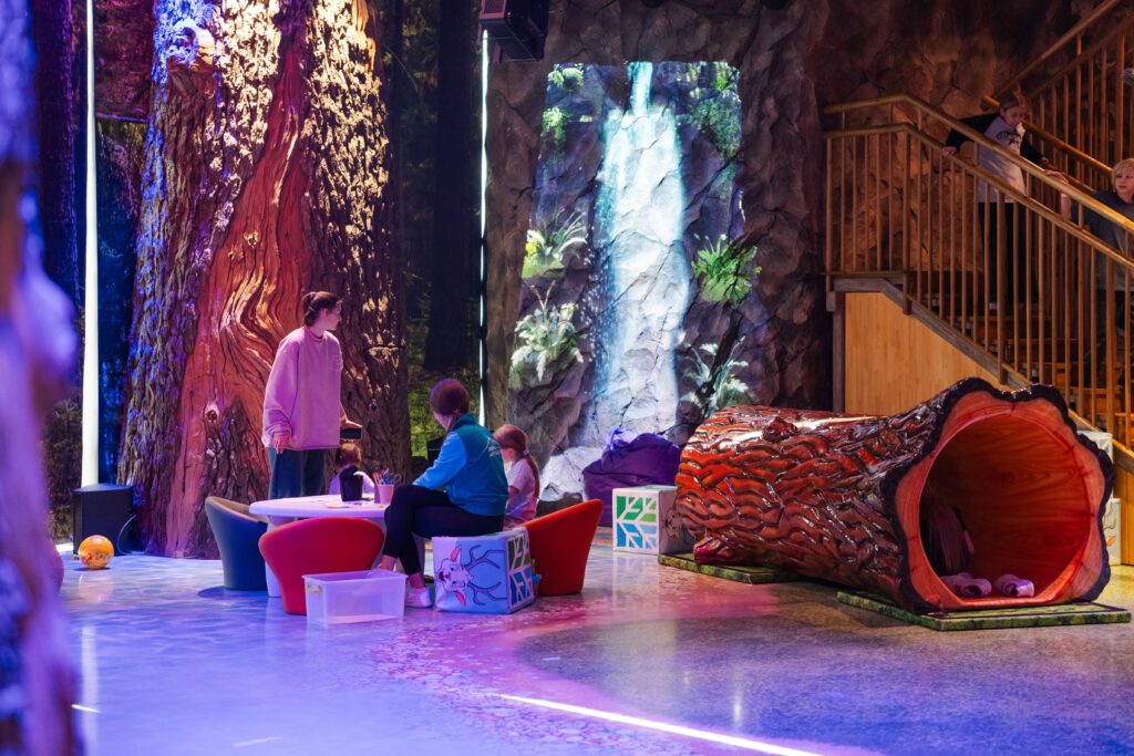 Семьи участников спецоперации посетили курорт «Манжерок»