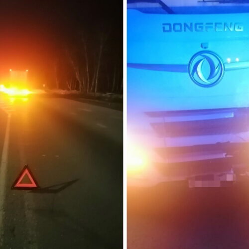Женщина-пешеход погибла под колесами грузовика в Новосибирской области