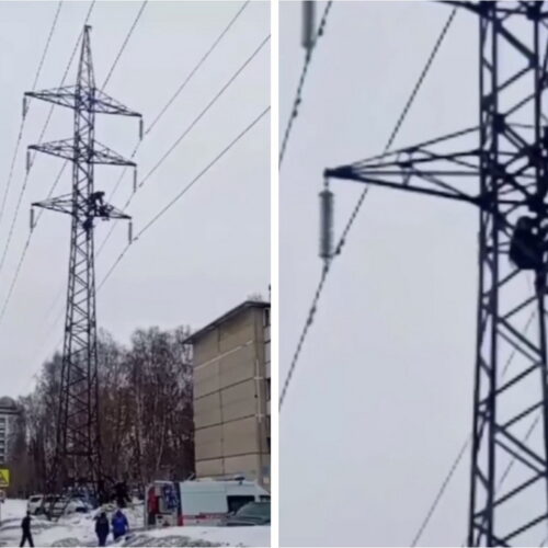 Спасатели сняли с линии электропередач жителя Новосибирска, отметившего Масленицу
