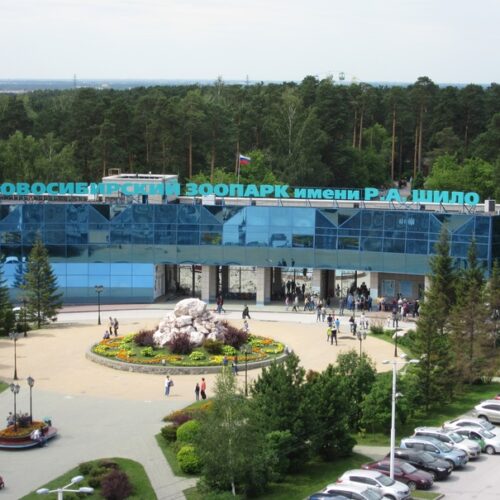Работа зоопарка продлена на час в Новосибирске