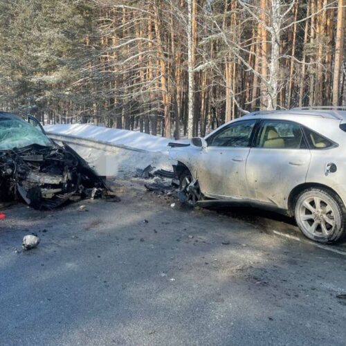Пассажир Honda погиб в ДТП на федеральной трассе под Новосибирском