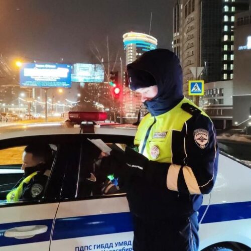 Полицейские задержали 30 пьяных водителей за праздничные выходные в Новосибирске