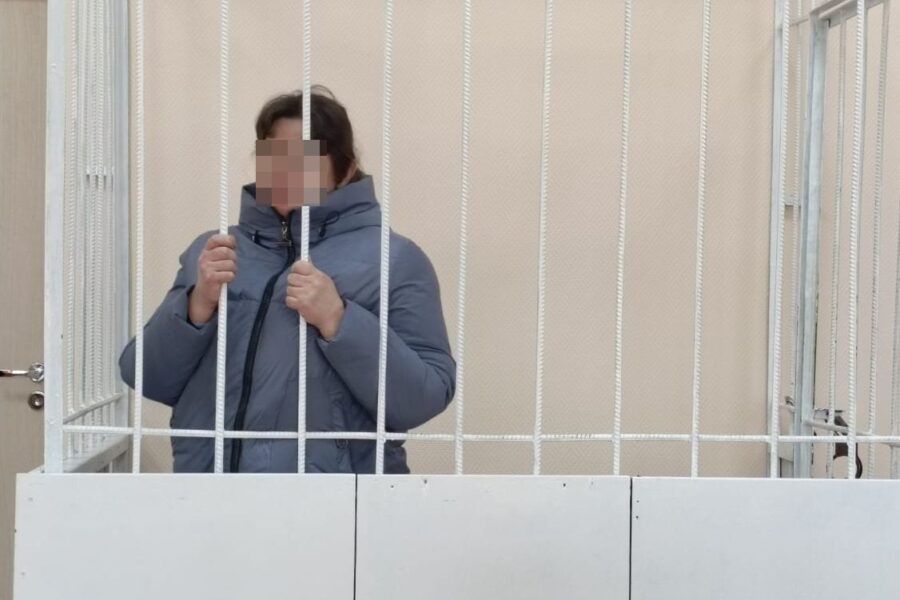 Мать, убившая новорожденную дочь, арестована под Новосибирском
