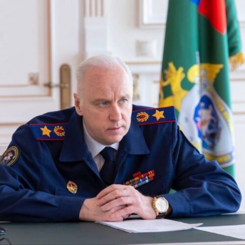 Глава СК Бастрыкин поручил провести проверку по истории с семьей, где умерла тройняшка
