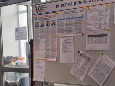 48% новосибирцев, выбравших онлайн, проголосовали на выборах президента