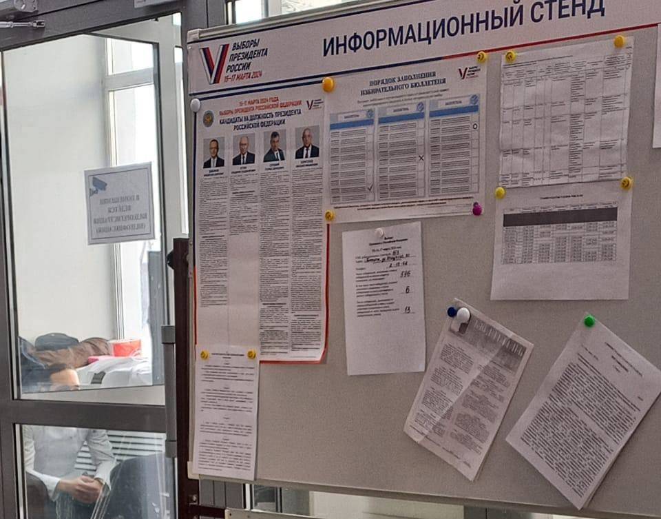48% новосибирцев, выбравших онлайн-бюллетени, проголосовали на выборах президента