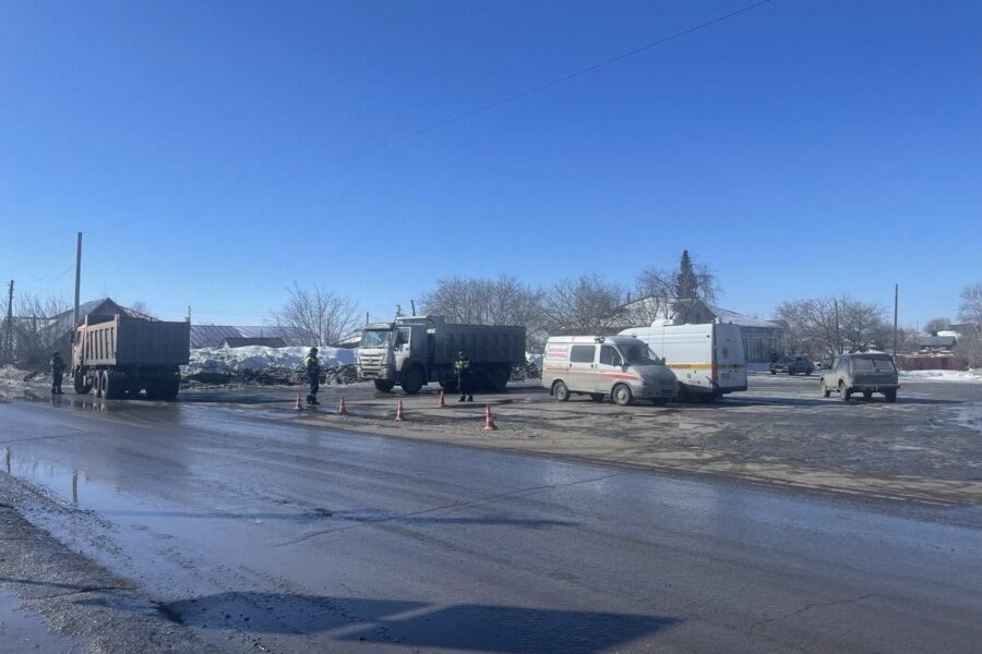 Большегрузы разрушают дороги села Медведское под Новосибирском
