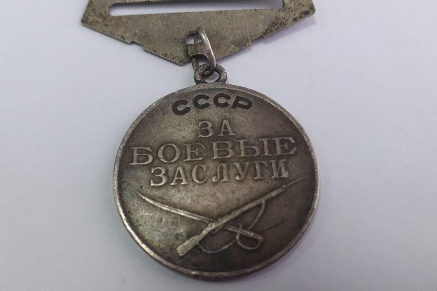 Судебный пристав нашла в новосибирском лесу очень ценную медаль ветерана ВОВ