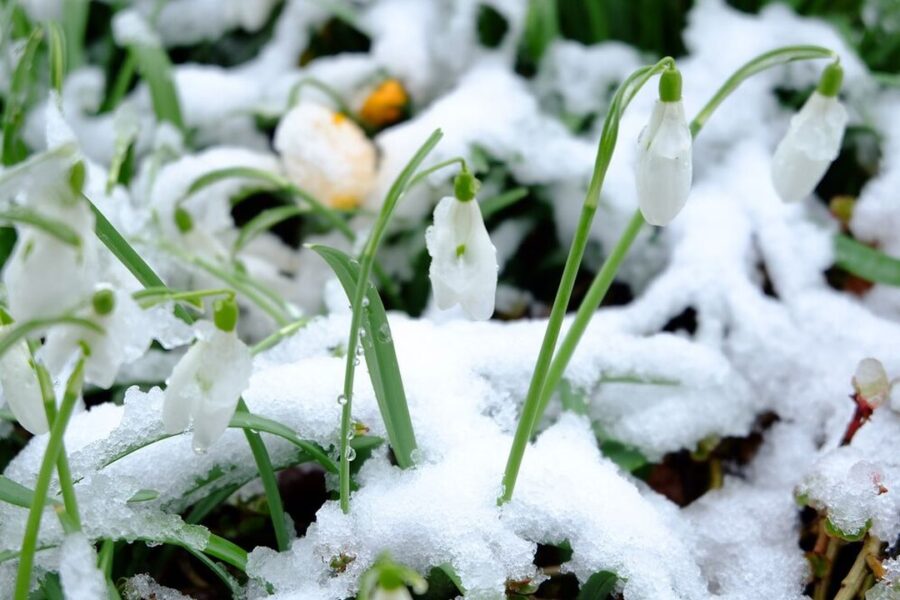 Похолодает и обрушатся снегопады: какая погода после праздничных дней ждет жителей Новосибирска
