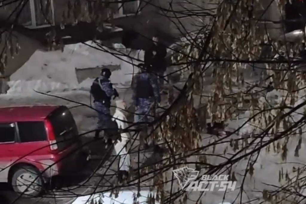 Поножовщина во дворе дома закончилась смертью мужчины в Новосибирске