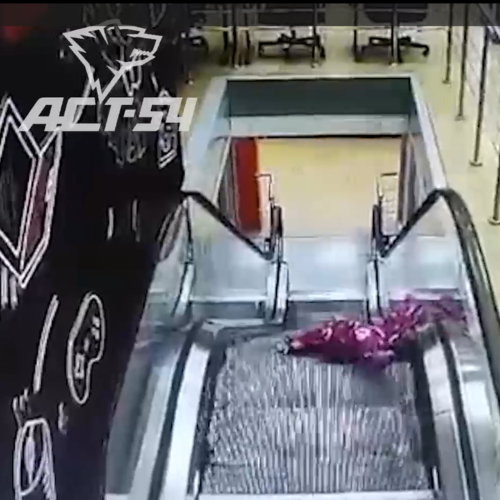 Маленькую девочку едва не затянуло в эскалатор в ТЦ Новосибирска