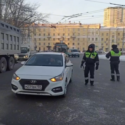 Охоту на пьяных за рулем открыли полицейские в Новосибирской области