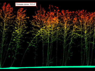 Ученые НГУ создают модель экосистемы леса с помощью БПЛА