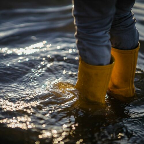 Авито сообщил о запуске поиска помощи пострадавшим от паводка в Оренбургской области