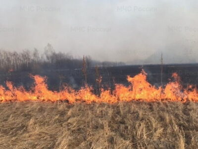 Несколько частных домов сгорело в Новосибирской области