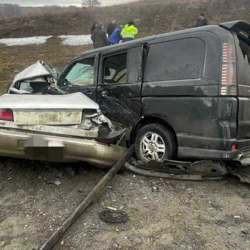 Мужчина погиб в лобовом столкновении с микроавтобусом под Новосибирском