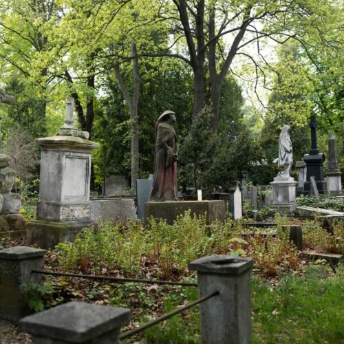 Скинуться на кладбище предложили жителям города под Новосибирском
