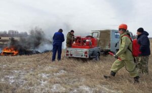 Специальный раствор для предупреждения лесных пожаров разработали в Новосибирске