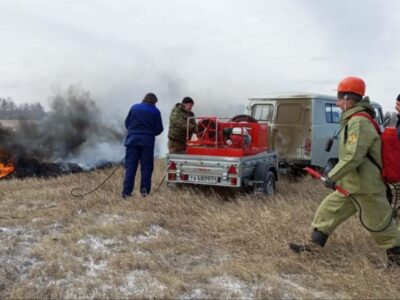 Специальный раствор для предупреждения лесных пожаров разработали в Новосибирске