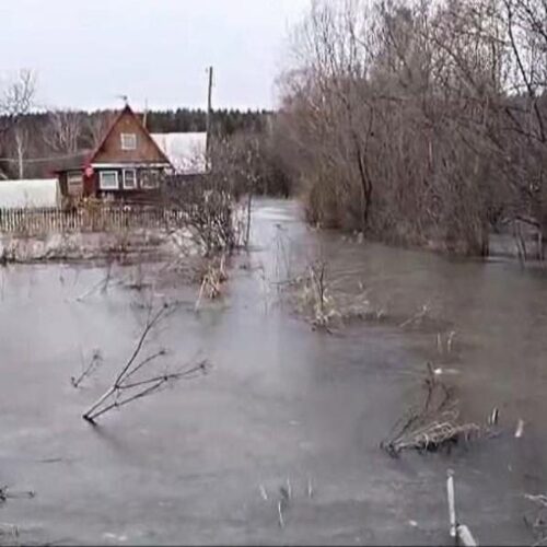 227 дачных участков ушли под воду в Новосибирской области