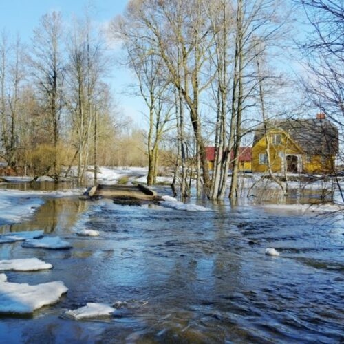 Уй затопила жилые дома и приусадебные участки в Новосибирской области