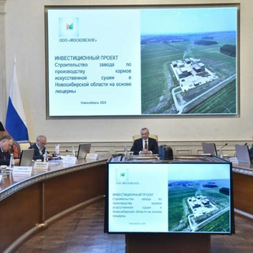 Завод по производству кормов за 2 млрд построит нижегородский предприниматель в Новосибирске
