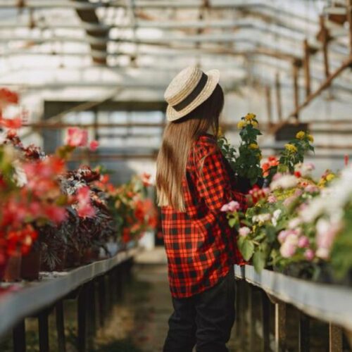 Цветем и пахнем: в Новосибирскую область завезли 20 млн цветов