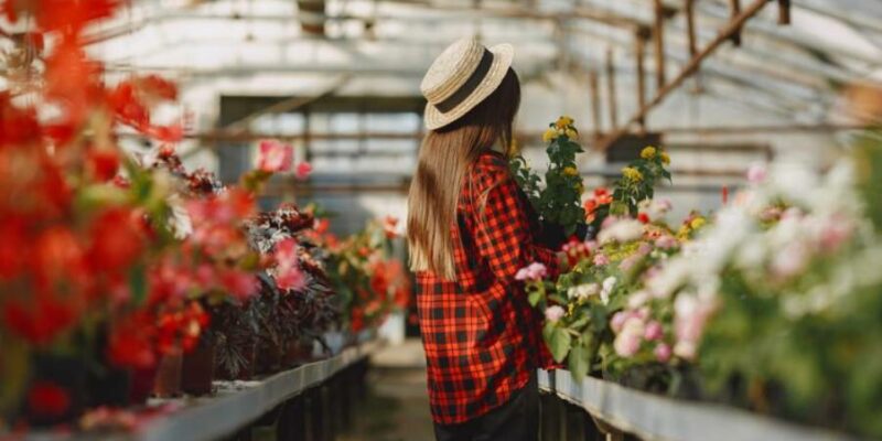 Цветем и пахнем: в Новосибирскую область завезли 20 млн цветов