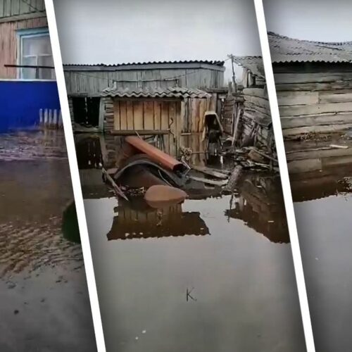 В селе под Новосибирском опровергли видео с утонувшими домами