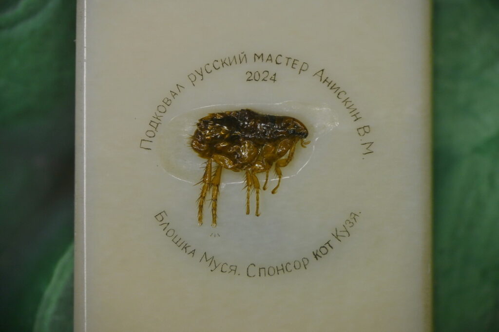 Подкованная блоха отправляется в дом-музей Николая Лескова из Новосибирска