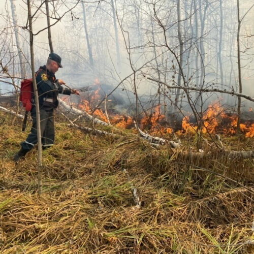 460 пожаров за неделю произошло в Новосибирской области
