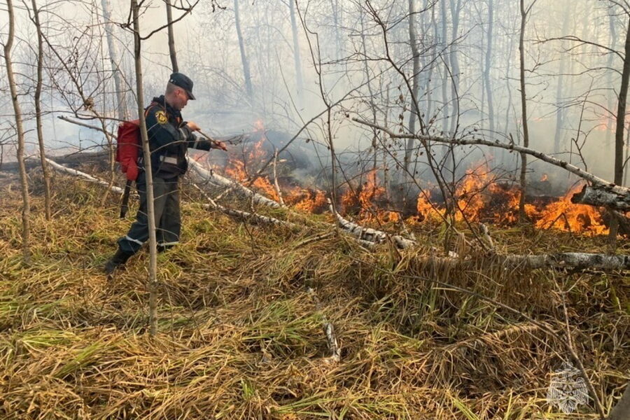 460 пожаров за неделю произошло в Новосибирской области