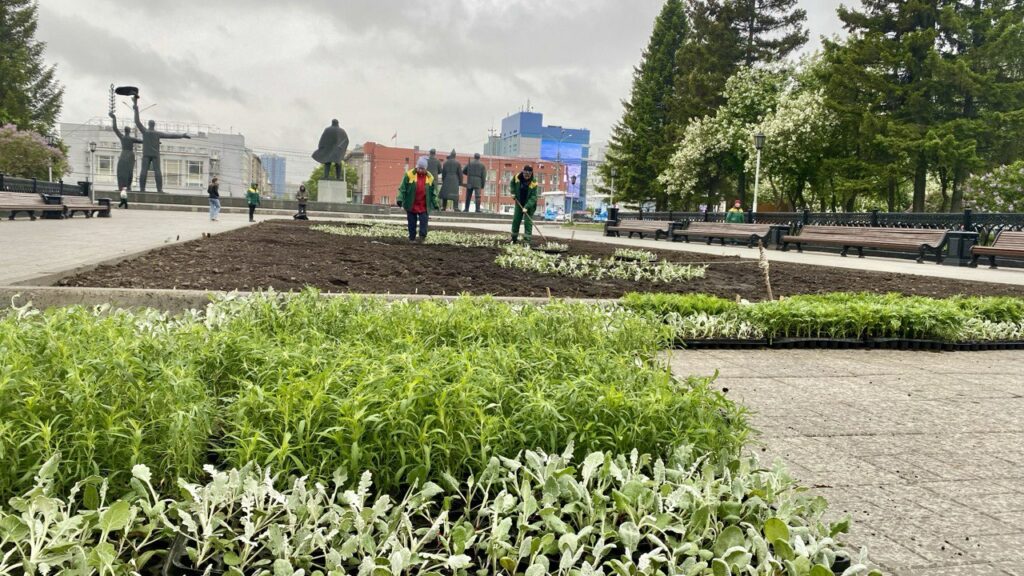 Клумбы с ордынским орнаментом украсят Новосибирск