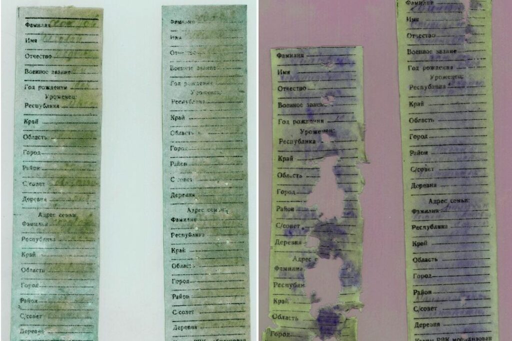 Останки 34 пропавших без вести солдат ВОВ нашли поисковики из Новосибирска