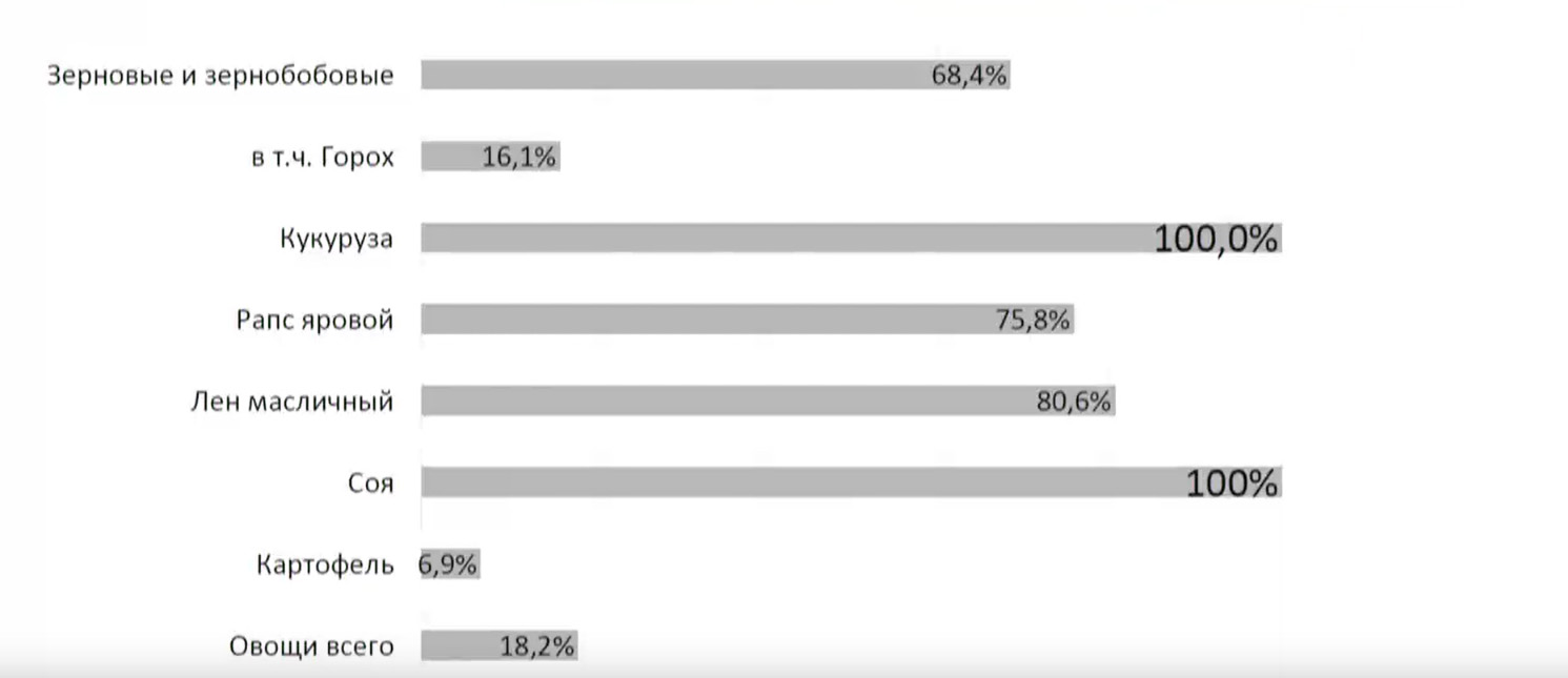 Аграрии Новосибирской области в этом году увеличили посевы рапса и подсолнечника