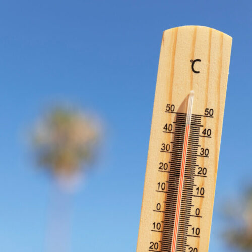 Аномальная жара вновь придет в Новосибирскую область