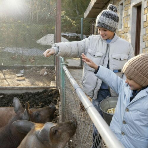 Семейный фестиваль «Экомир» прошел в Новосибирске при поддержке Сбера