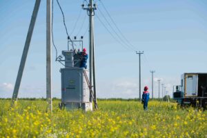 «Россети Новосибирск» повысили надежность сельских электросетей в 4 районах Новосибирской области