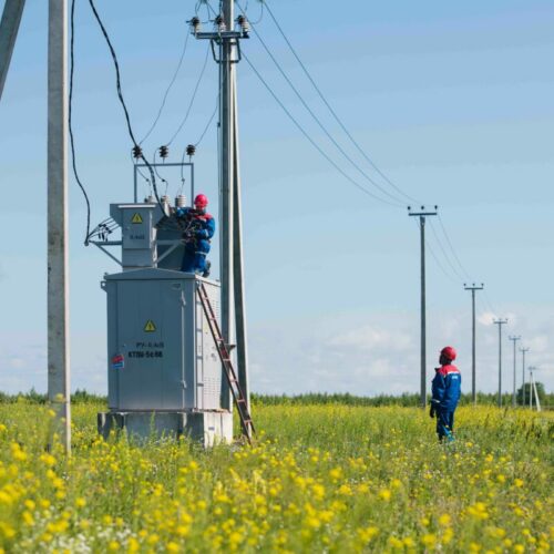 «Россети Новосибирск» повысили надежность сельских электросетей в 4 районах Новосибирской области
