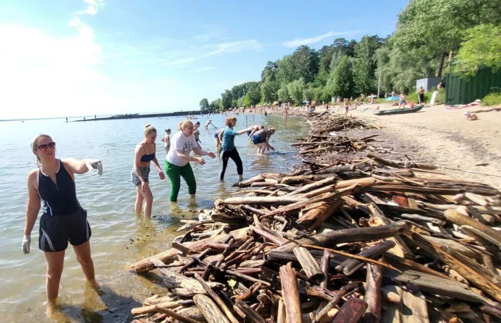 8 тонн топляка собрали на пляже «У моря Обского» в Новосибирске