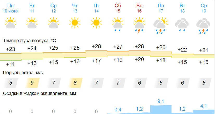 До +30 и небольшие дожди: какая погода ждет на этой неделе жителей Новосибирска