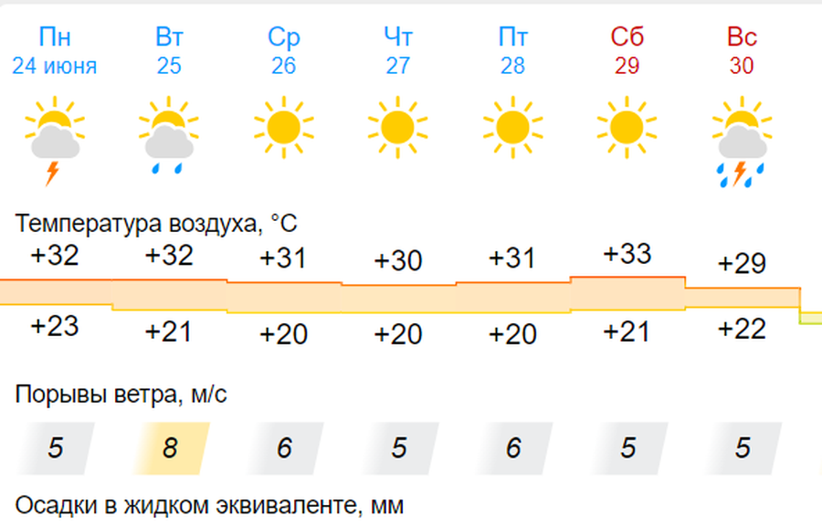 Как в Африке: аномальная жара накроет Новосибирск в последнюю неделю июня