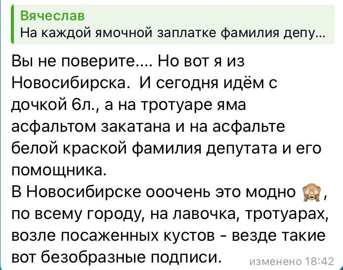 Тренд на имена депутатов на асфальте раскритиковали в Новосибирске