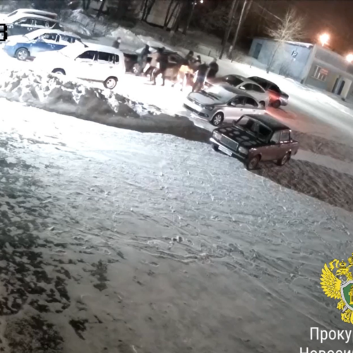 Массовая драка со стрельбой у бара под Новосибирском попала на видео