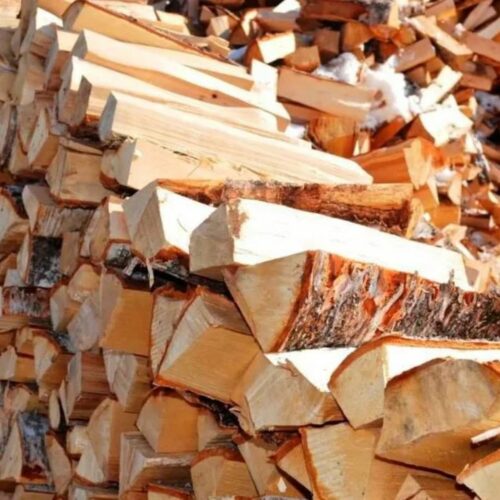 Директора лесхоза оштрафовали за продажу дорогих дров в Новосибирской области