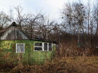 Три года на освоение заброшенных участков дадут собственникам дач в Новосибирске