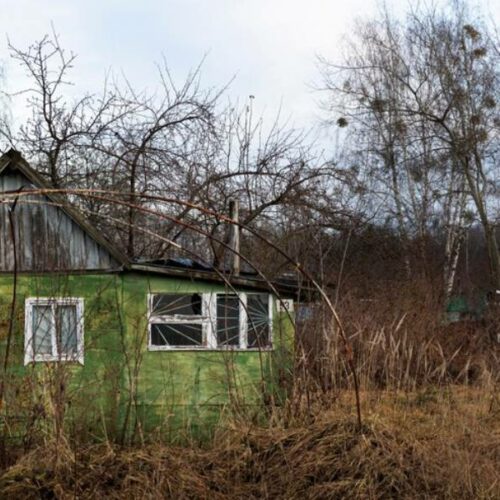 Три года на освоение заброшенных участков дадут собственникам дач в Новосибирске