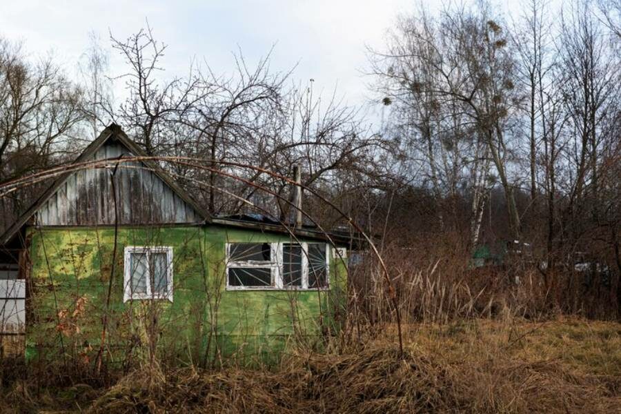 Три года на освоение заброшенных участков дадут собственникам дач в Новосибирске