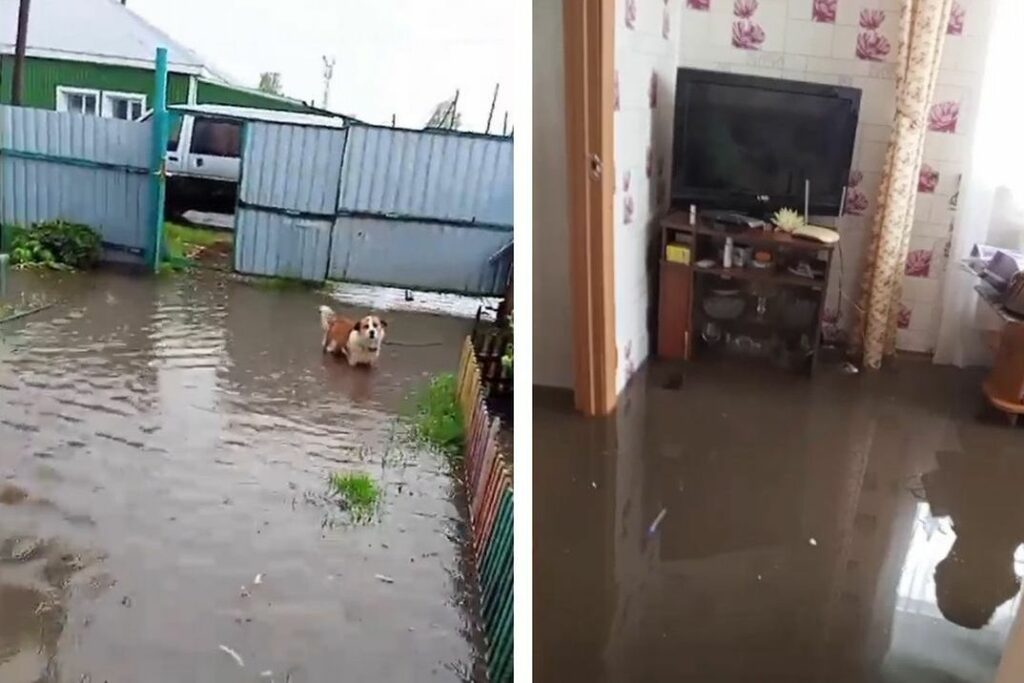 После июньских дождей дома и приусадебные участки затопило под Новосибирском