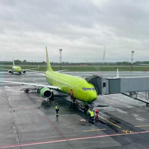 Летевший из Новосибирска самолет не смог сесть из-за собаки